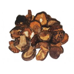 Dried Mushroom